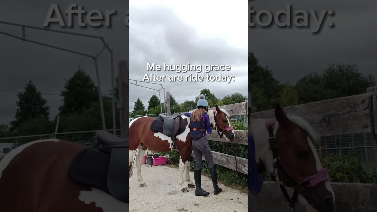 The worst fall I've had this year with my loan ...  #horse #equestrianrider  #horseriding