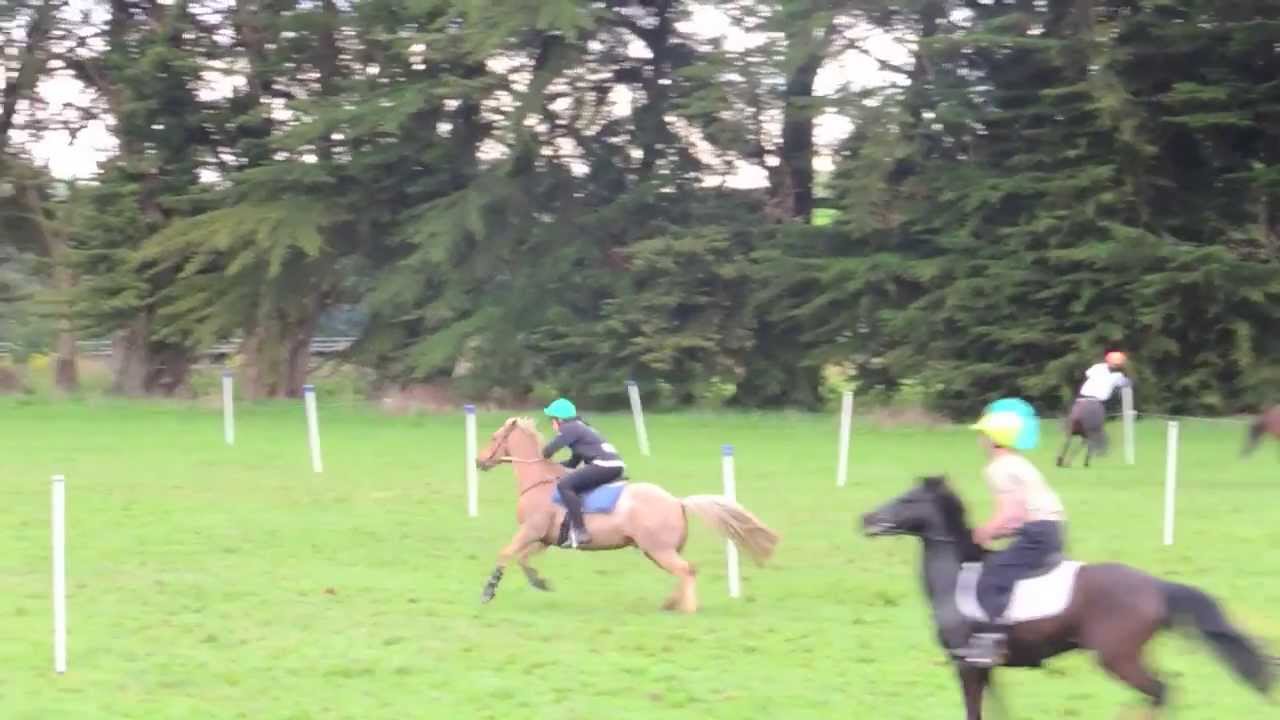 Mounted Games - Loud Shirt Pairs 2013