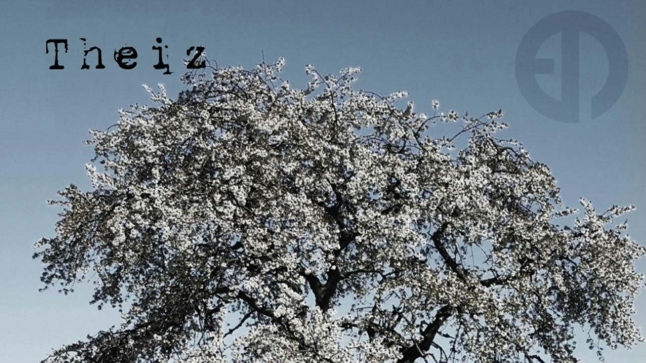 Theiz | Outro | EPM Music
