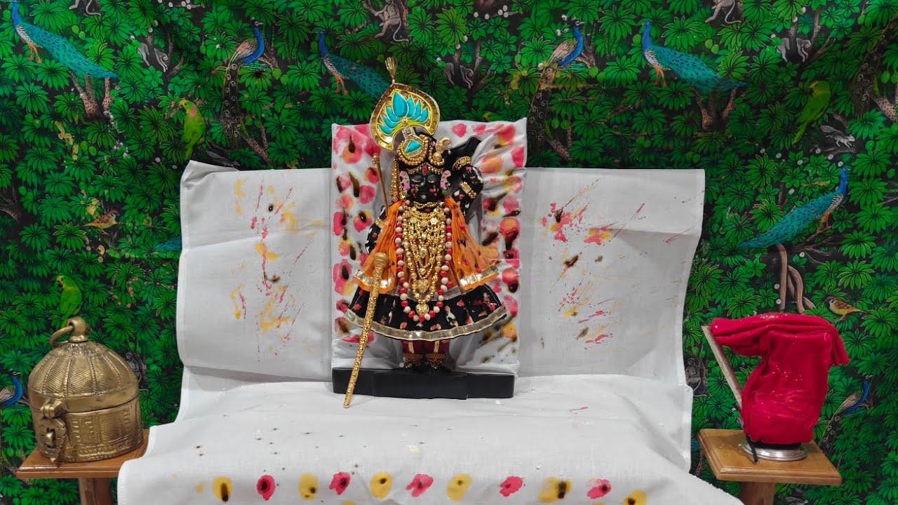Kunj Ekadashi ke Govardhan nathji swroop ke vastr shringar khel 