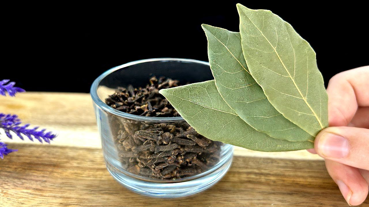 Graues Haar wird in nur 4 Minuten für immer verschwinden, 100% effektiv  Haare wachsen💯