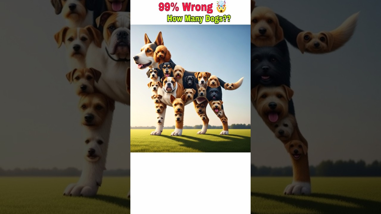 🔴 99% Fail 🤯 | Any Legend Online ??🤷🏻‍♂️🤔 How Many Dogs You Can See??🥵 | I See 20 & You??🫵🏻👇🏻