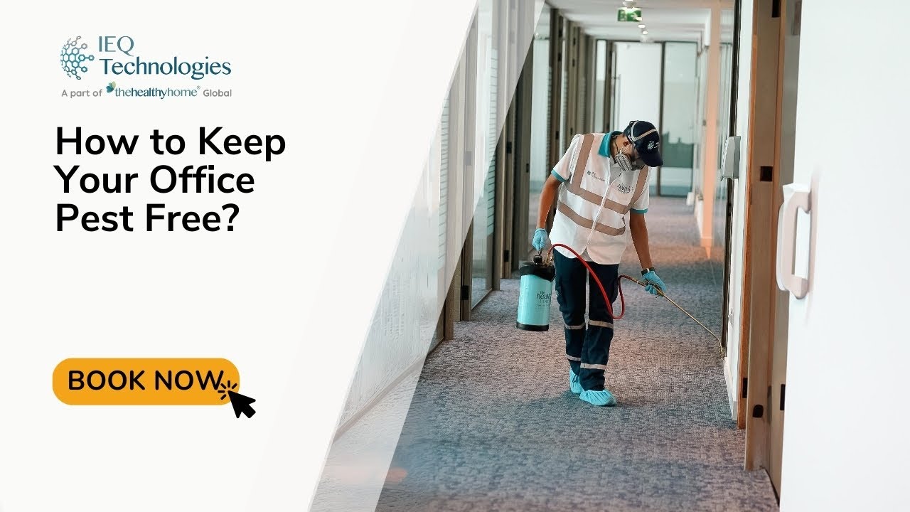 How to Keep Your Office Pest Free? Commercial Pest Control Services by The Healthy Home&reg;