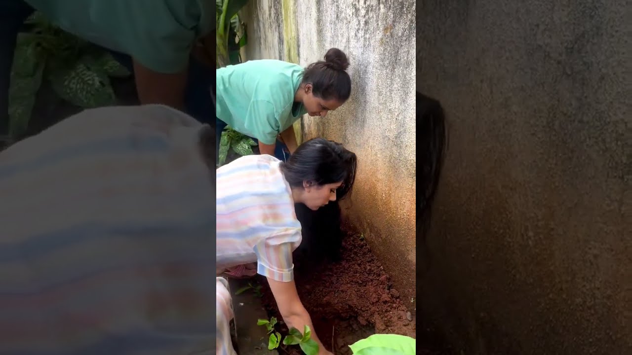 #warinahussain wonderful initiative towards a greener place #shorts #shortsfeed
