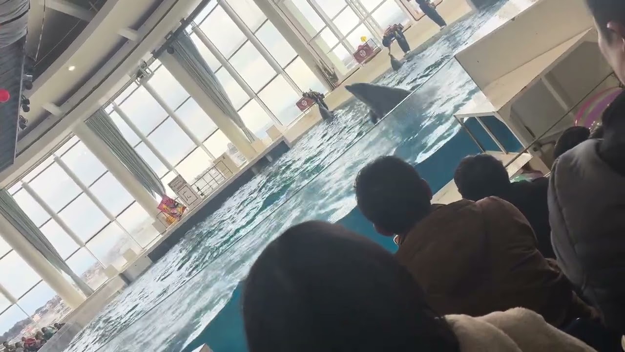 2026年3月2日
