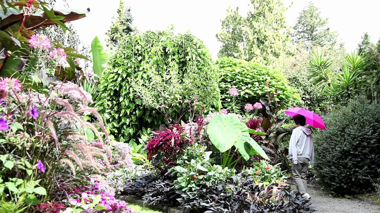 Green Spaces of Vancouver - British Columbia, Canada