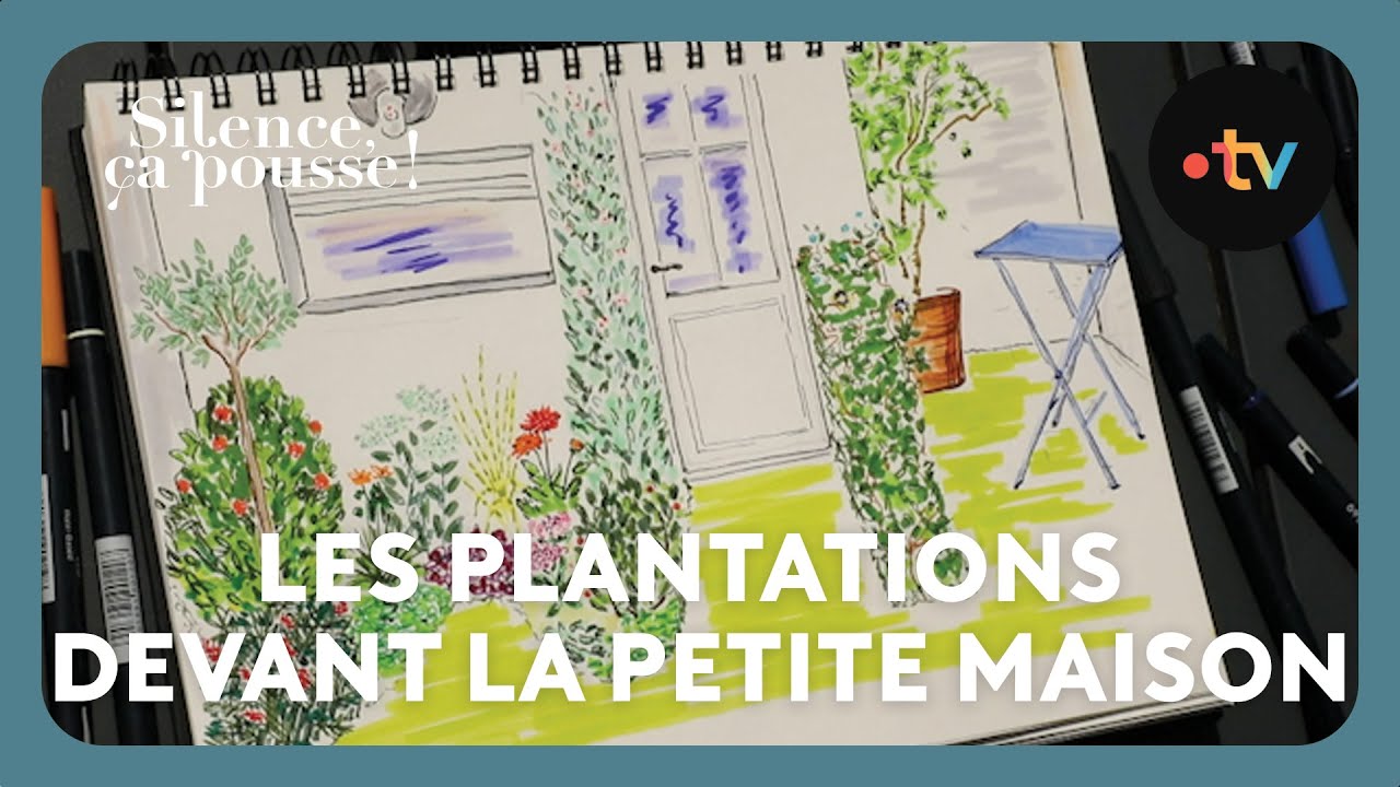 Pas de panique :  Les plantations devant la petite maison - Silence ça pousse ! 24 Janvier 2026