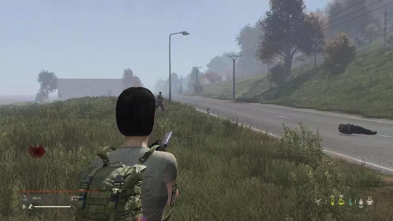 DayZ rambo mode