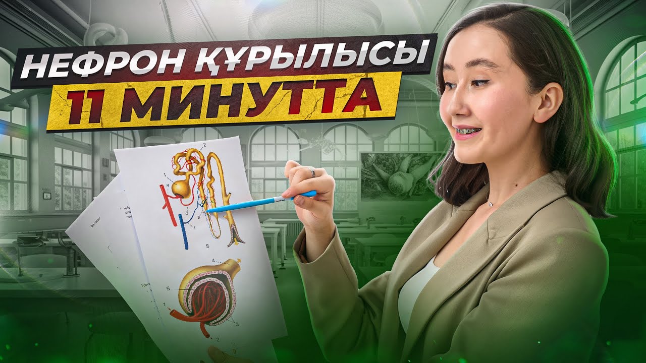Нефрон құрылысы 11 минутта |ҰБТ 2026 | ЕНТ биология
