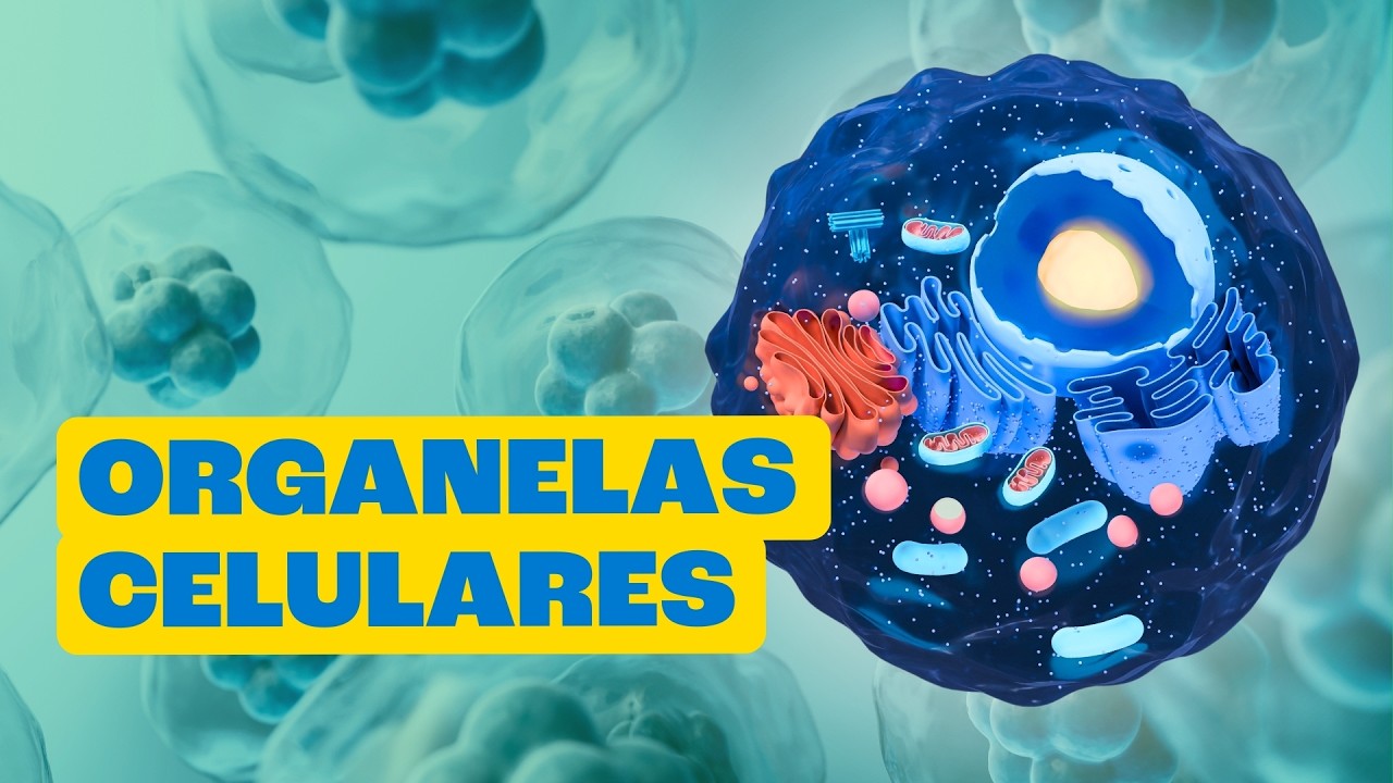 Por Dentro da C&eacute;lula: A Menor F&aacute;brica do Mundo