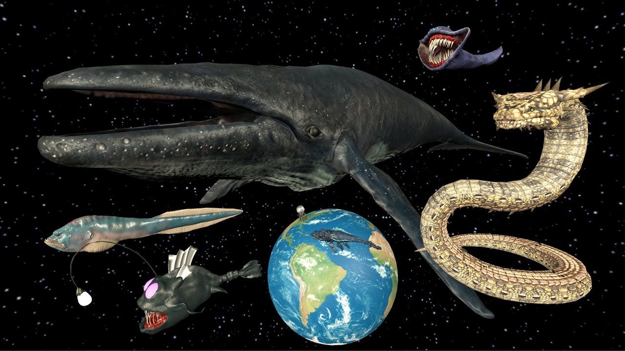 Space Whale Vs Jörmungandr | 3D Epic Sea Monster Size Animation Comparison