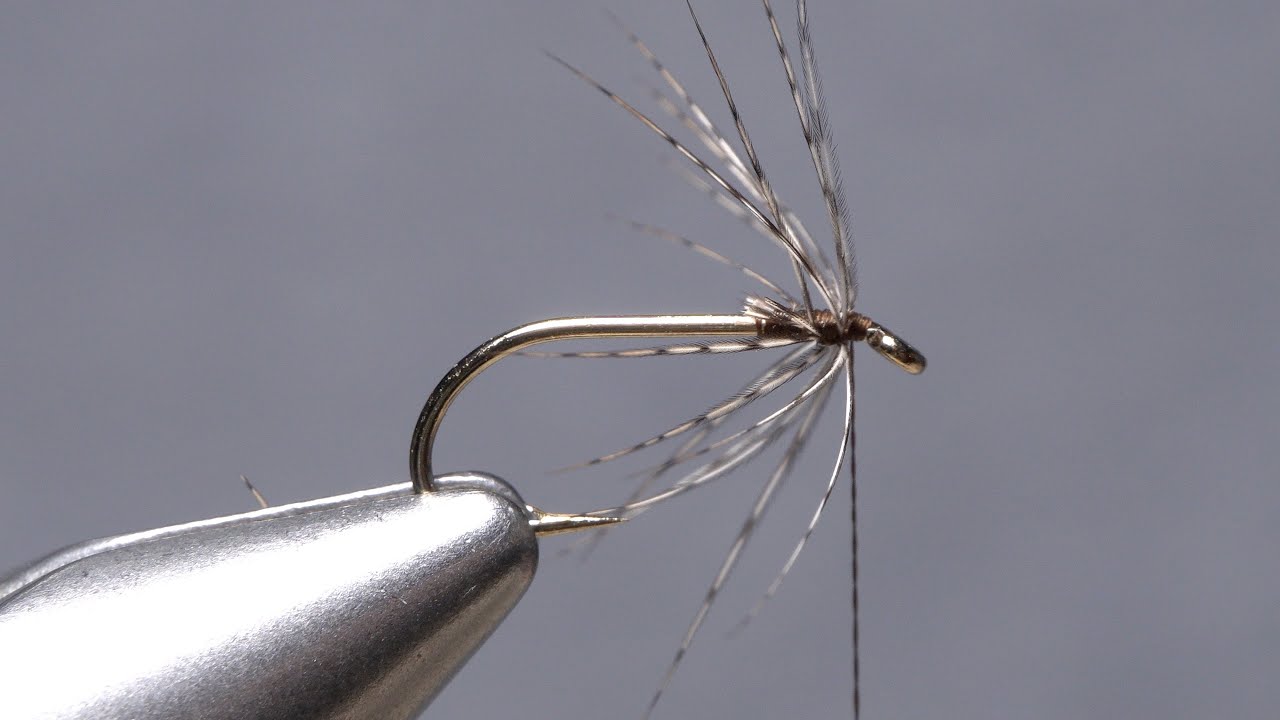 Hungarian Partridge Soft Hackle