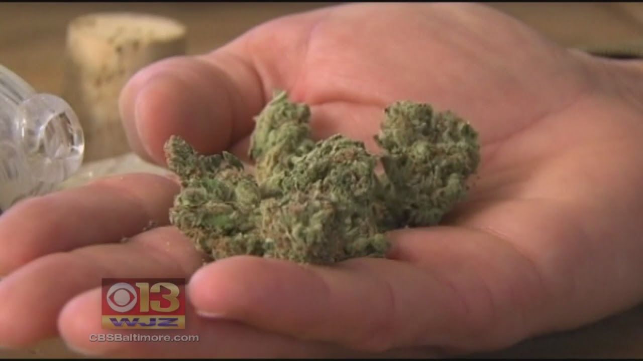 Daily Marijuana Use Among College Students On The Rise
