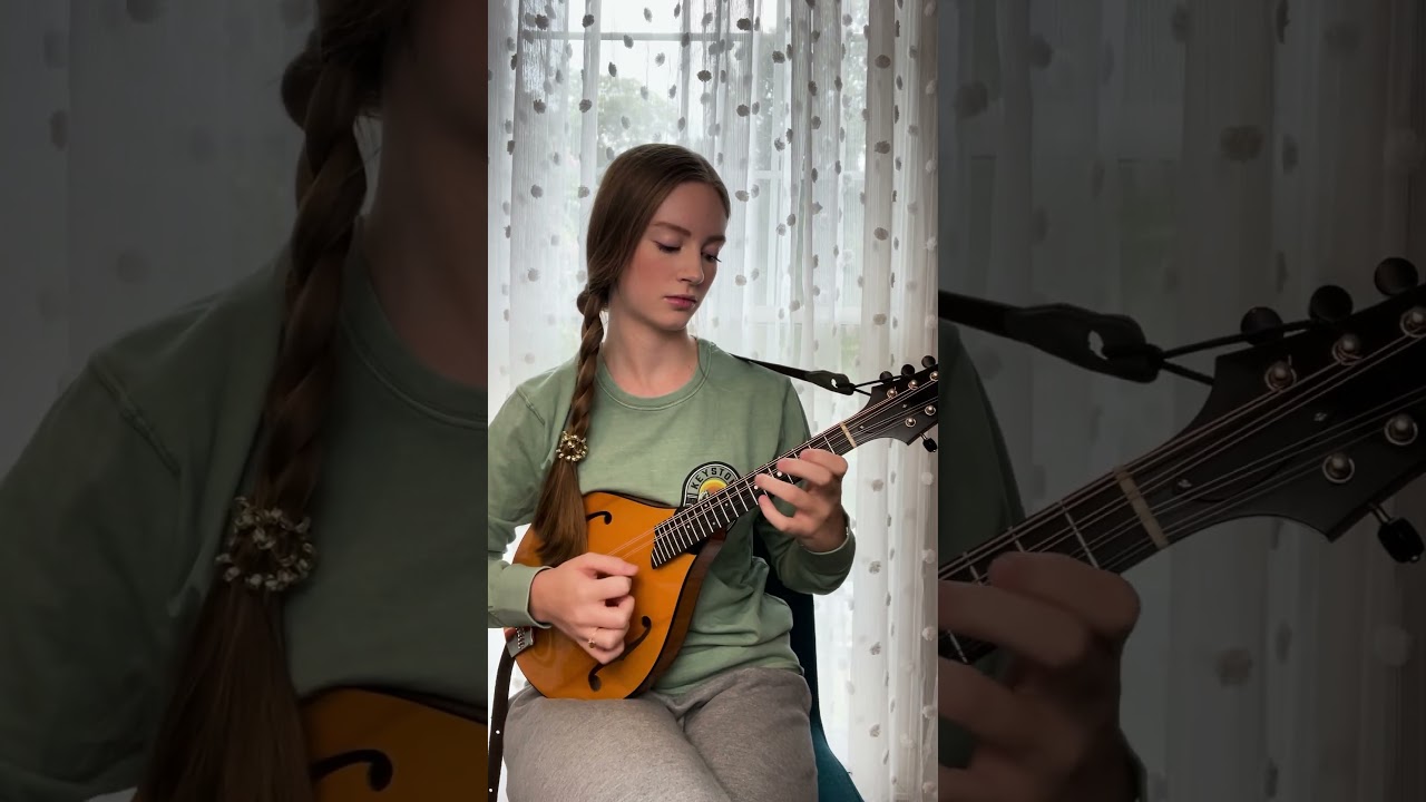 Fun Mandolin Solo🎶