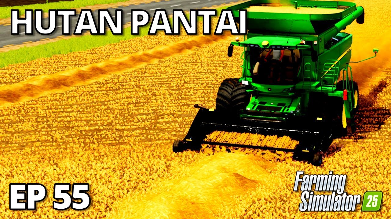 MY OWN GOLDEN KINGDOM OF WHEAT!! | Farming Simulator 25 - Hutan Pantai | Episode 55