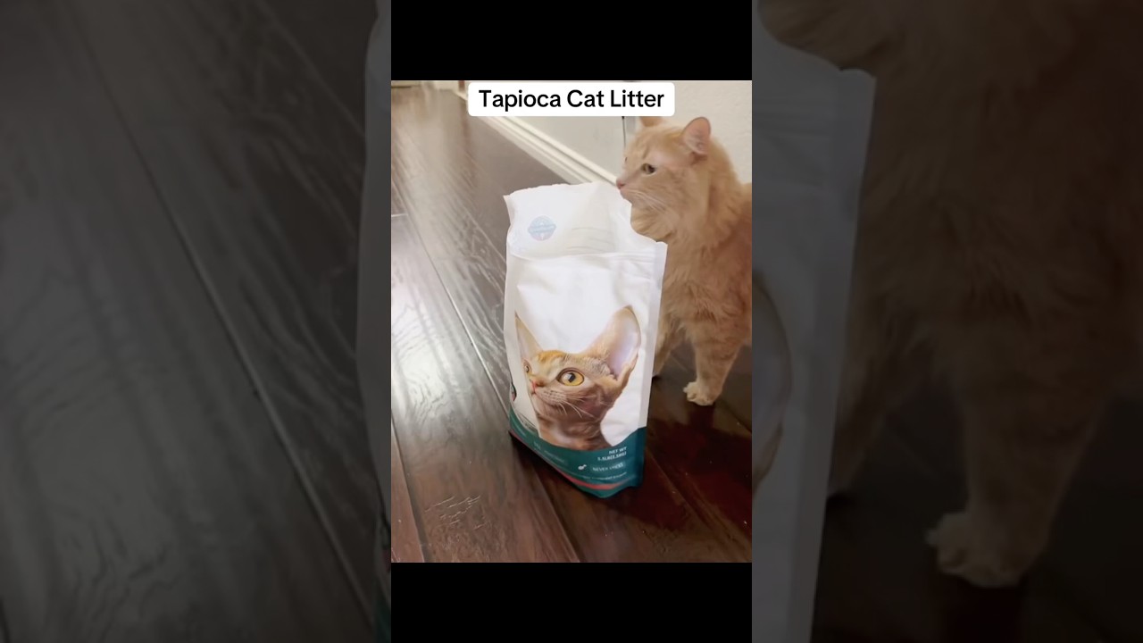 Moonforest Tapioca Cat Litter. 