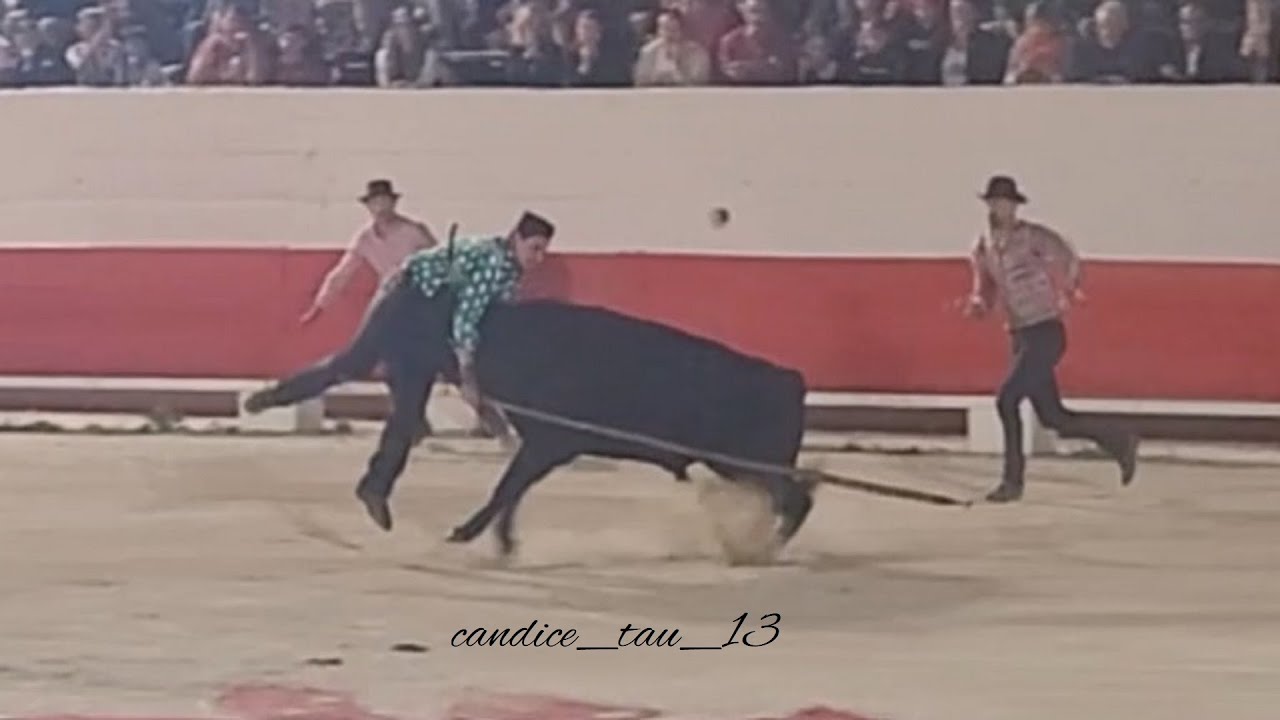 Olympiade Camarguaise - CHATEAURENARD - 07/08/2023