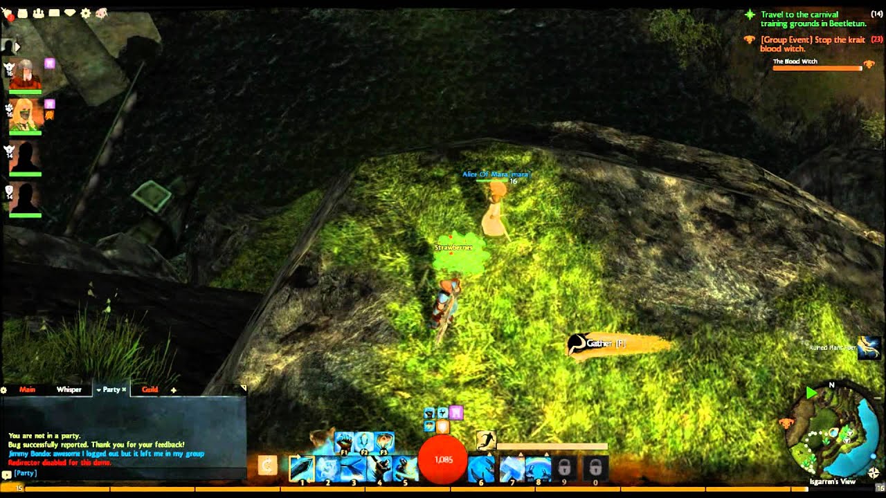 Guild Wars 2: Isgarren