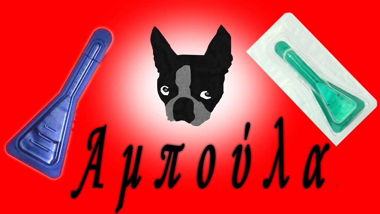 Η Αμπούλα και η σωστή εφαρμογή της
