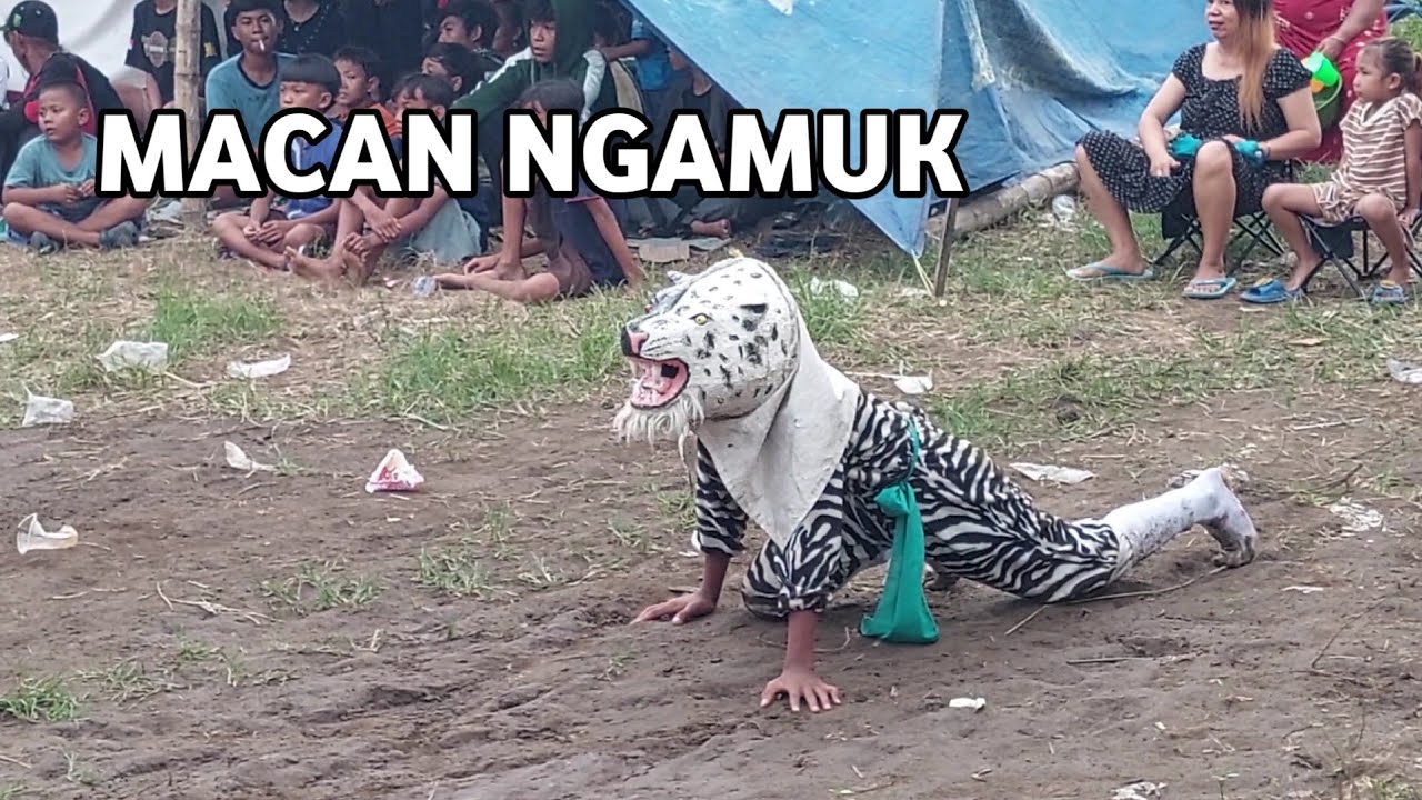 Macan Ngamuk Bantengan Satrio Jagat Sampurno Live Kedungmaling Mojokerto
