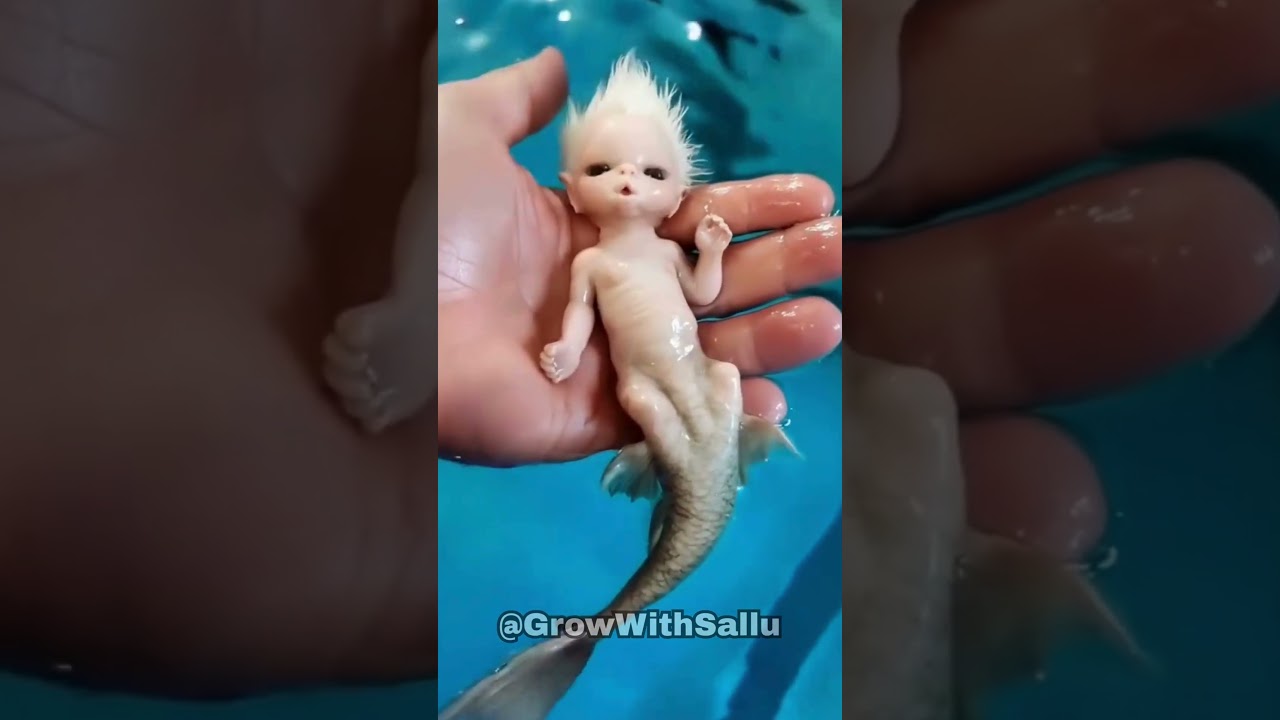 Before & After Animals Growing Up. Amazing Animal Transformation 000