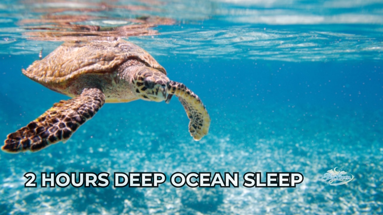 2 Hours Ocean Sleep 🌊   Deep Sea Sounds for Insomnia