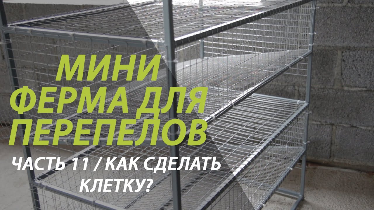 Мини ферма часть 11 /Сколько стоит сделать клетку для перепелов?