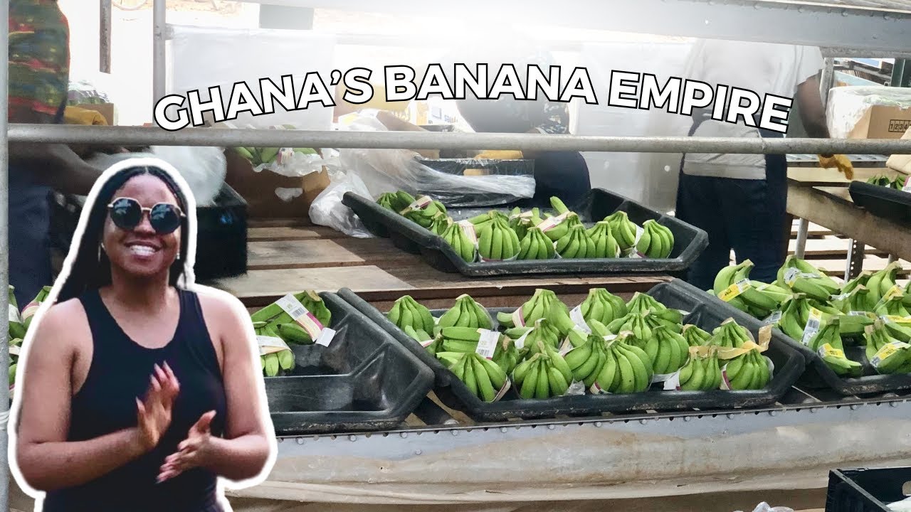 INSIDE Ghana’s Leading Banana Factory Exporting to Europe!