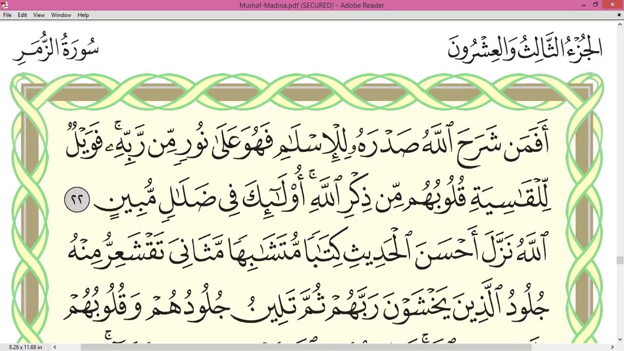 Practice reciting with correct tajweed - Page 461 (Surah Az-Zumar)