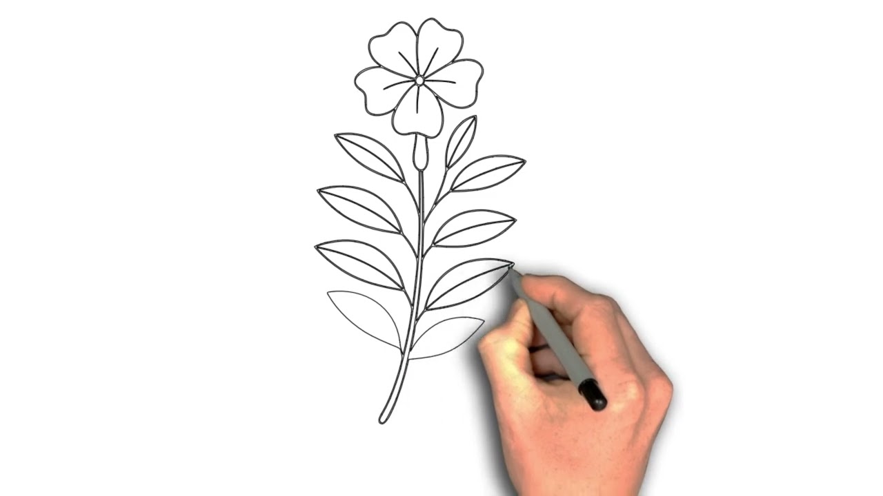 How to Draw Crossandra Flower