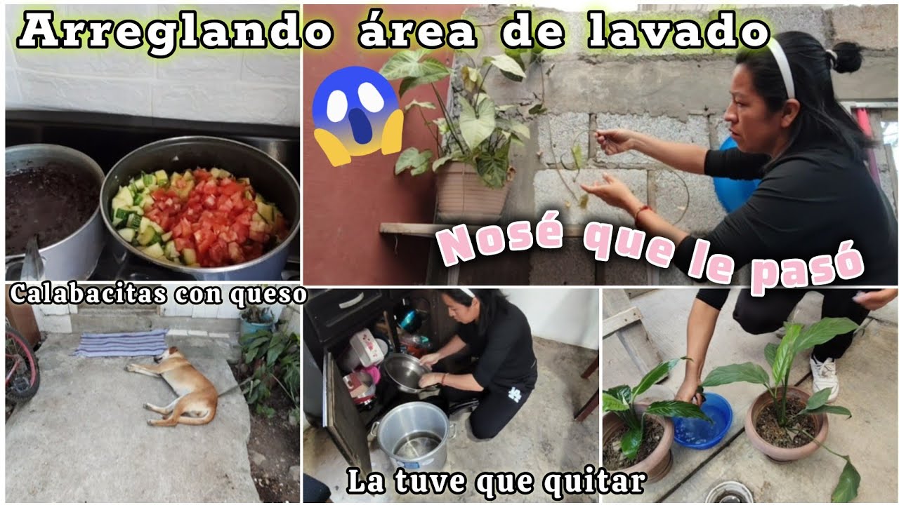 Arreglando mi área de lavado 😣 cambiando algunas cosas ⁉️ #vlog #tere #casa 