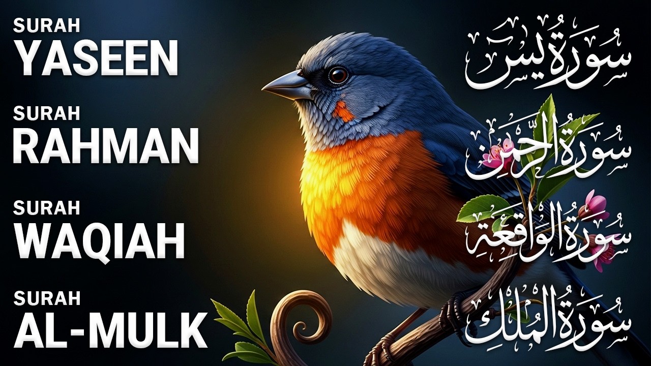 Beautiful Surah Yaseen (Yasin) | Surah Rahman | Surah Waqiah | Surah Mulk Ep53