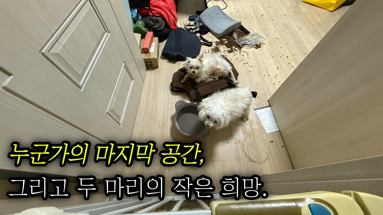 고독사 현장 기록 두 마리의 작은 희망｜열정의청년들