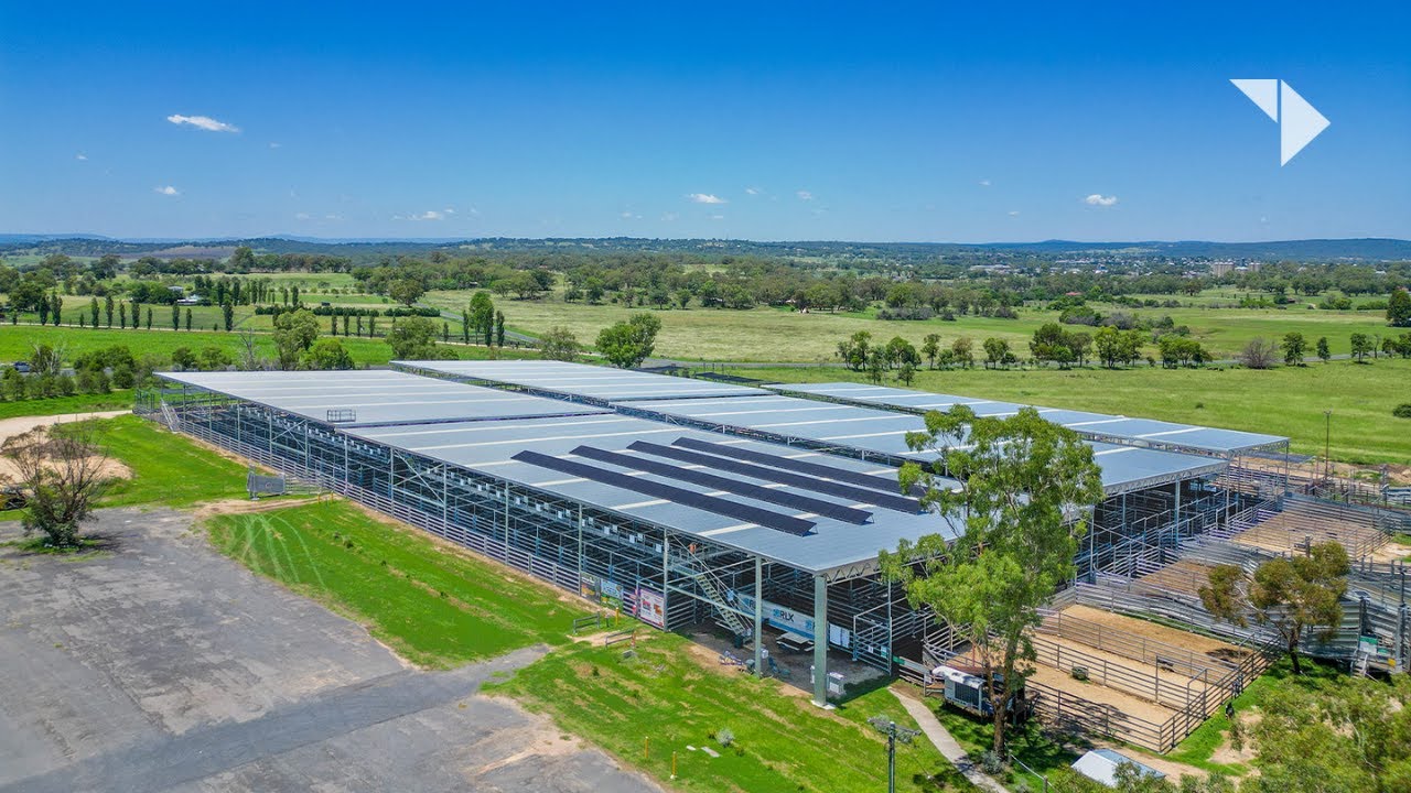 Inverell Saleyards | Livestock Facility Cover by Central Steel Build