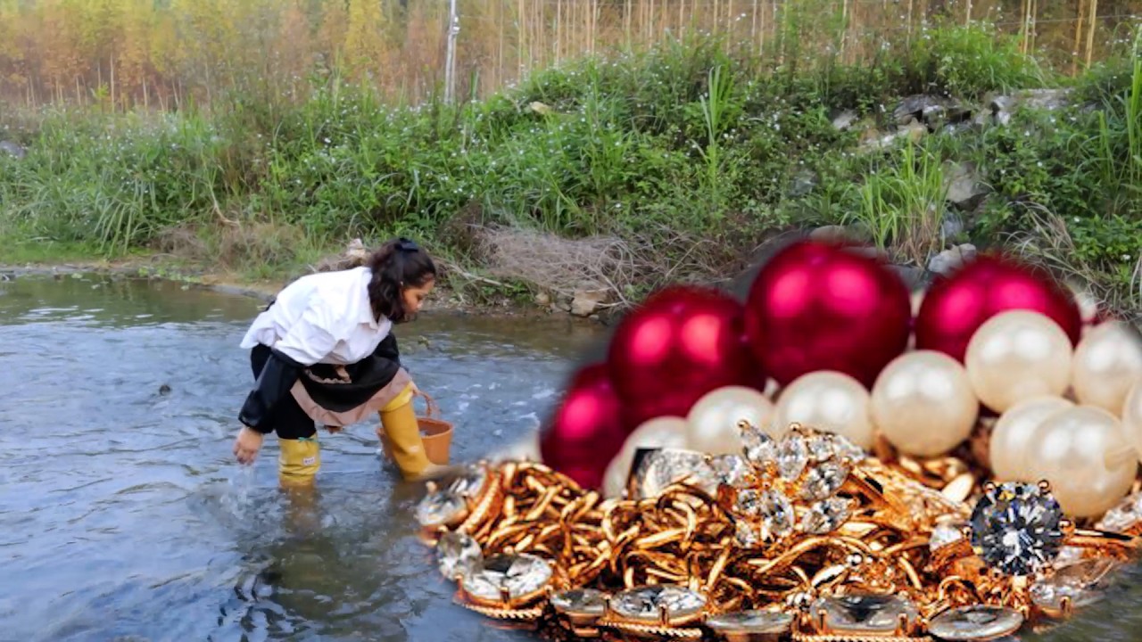 Discovered clams and pearls in 1203! Girl gains pearl wealth with wisdom