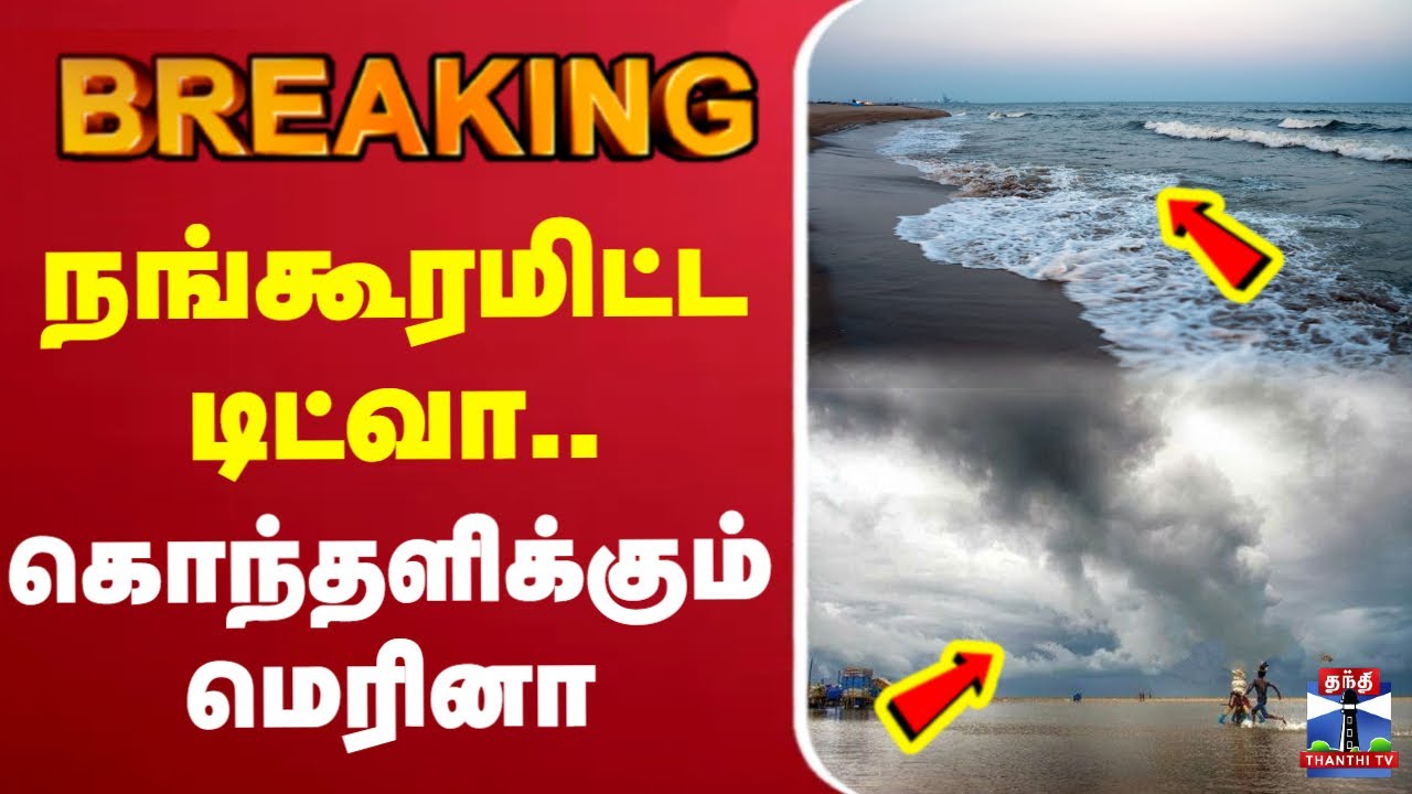 🔴LIVE : Cyclone Ditwah | TN Rains | Rain Alert | School Leave Update | TN Rain