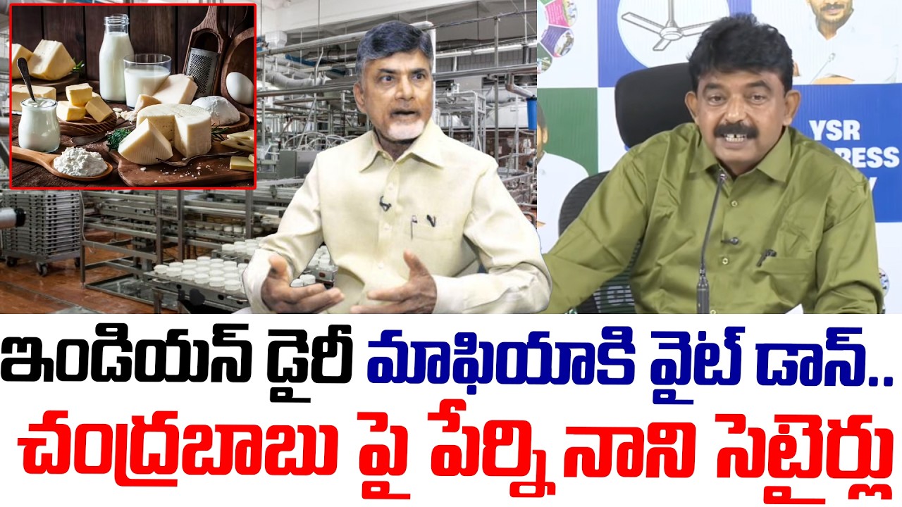 మాఫియాకి వైట్ డాన్..!| Perni Nani Seterical Comments On Chandrababu|Indian Milk Dairy|Tirupati Laddu