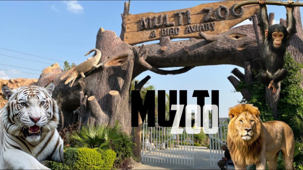 Multi zoo b17 islamabad||fishes sara khana kha gyi ||explore with zoya 