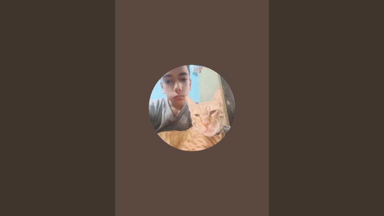 The cute tom is live!