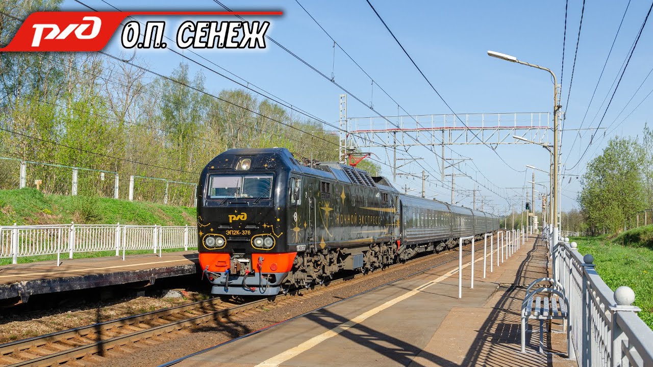 Самое цветастое направление РЖД. Поезда на Ленинградском направлении от рассвета до полудня