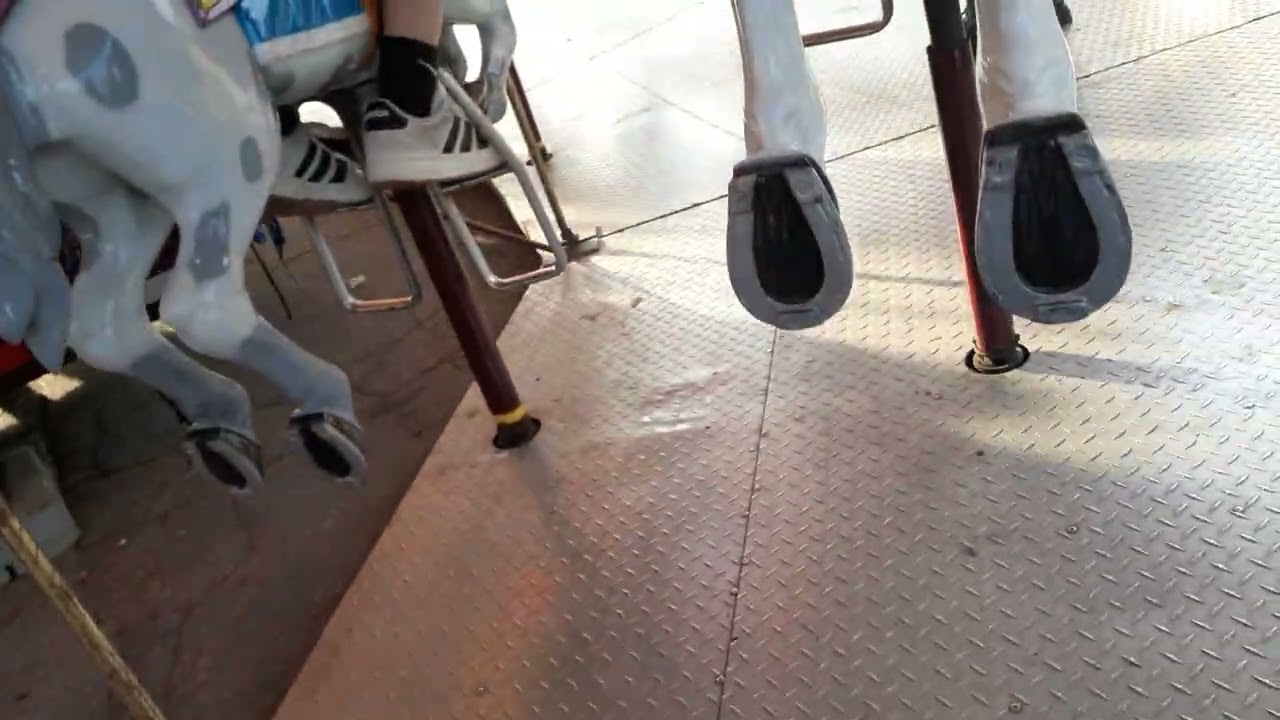 Brown Shoes & Horseshoes 