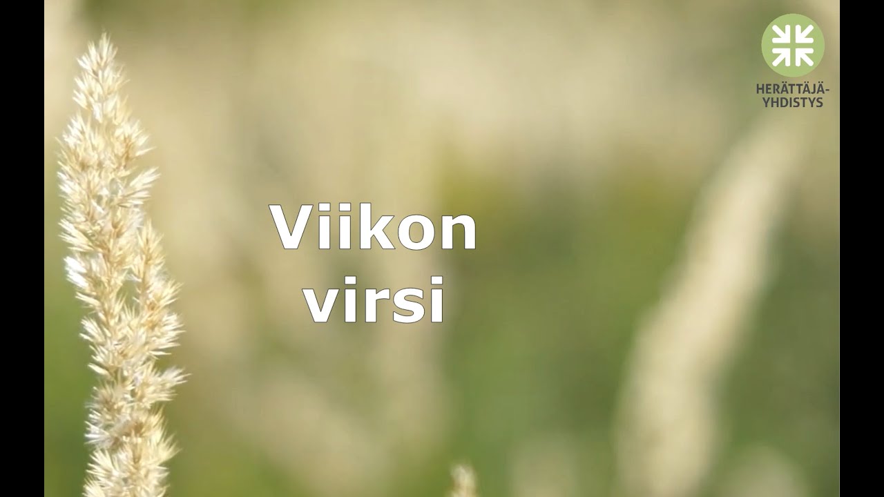 Viikon virsi: Siionin virsi 158, Kaitse, Paimen, lampaitasi