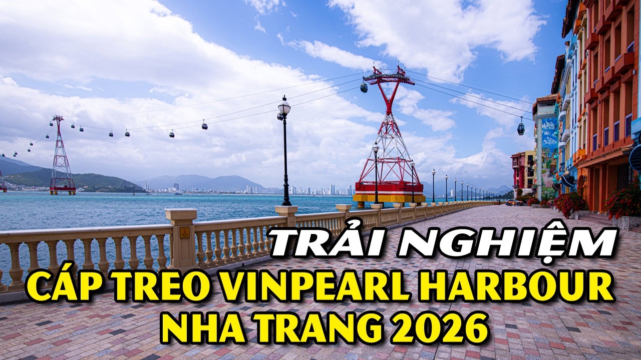 Cáp treo Vinpearl Harbour -  Gia đình Nha Trang ngày về 2/2026