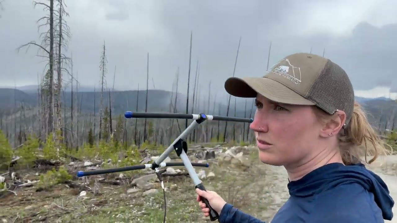 Radio telemetry and wildlife conservation