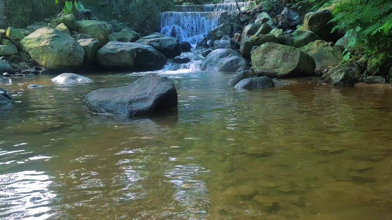Peaceful River Flow at Night – Moonlight Ambience to Help You Sleep Better