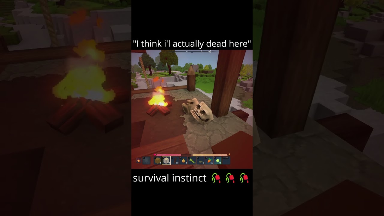 Hytale Funny Moments