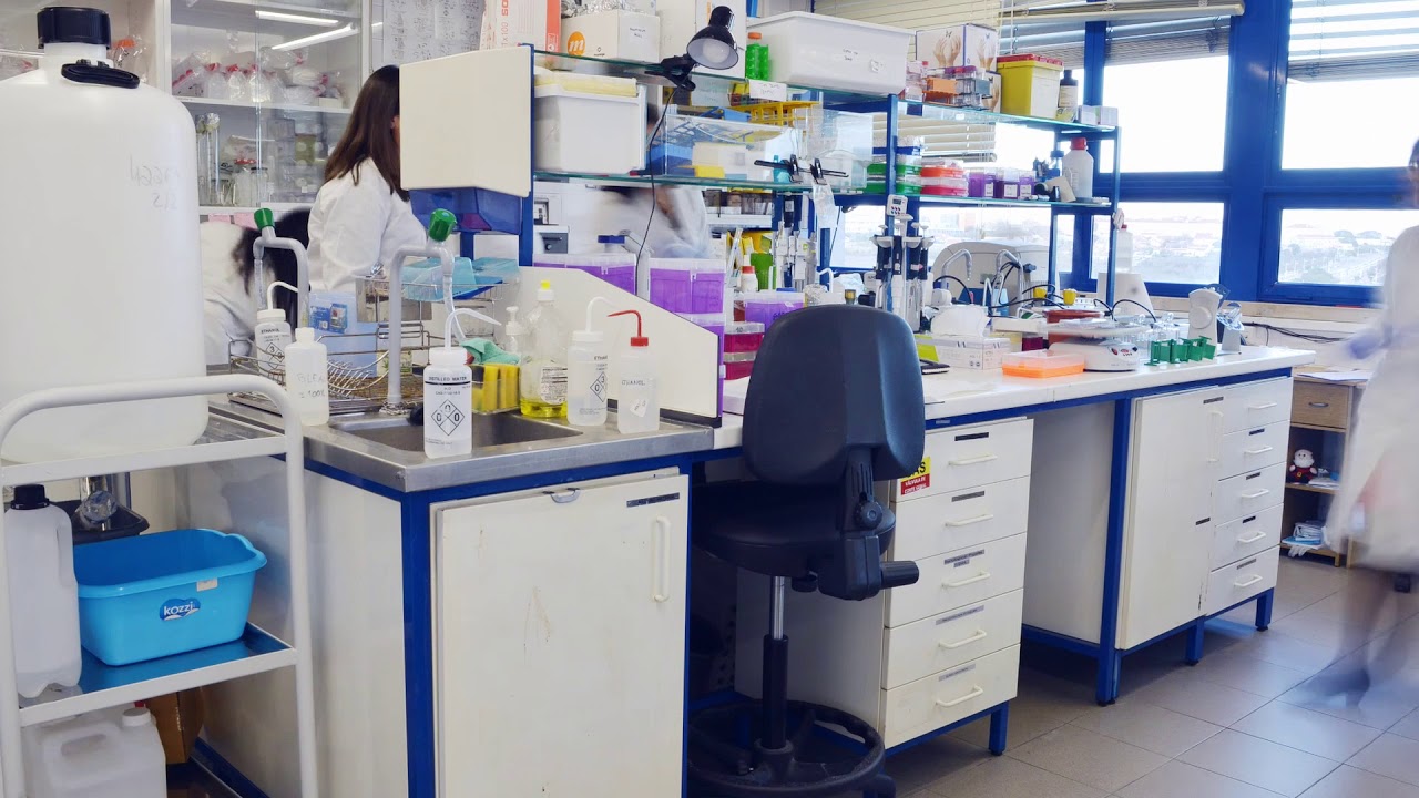 FCT NOVA Lisbon, Portugal Laboratory Timelapse