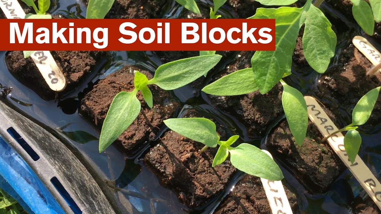 Making Soil Blocks