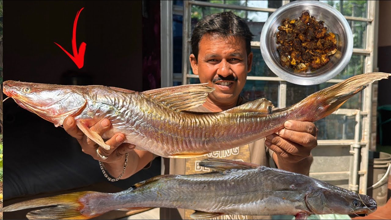 আমাদের বাড়ি প্রথম এত বড় নদীর আইড় মাছ রান্না হলো ||