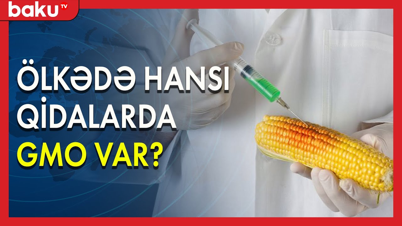 Ölkədə hansı qidalarda GMO var? - BAKU TV